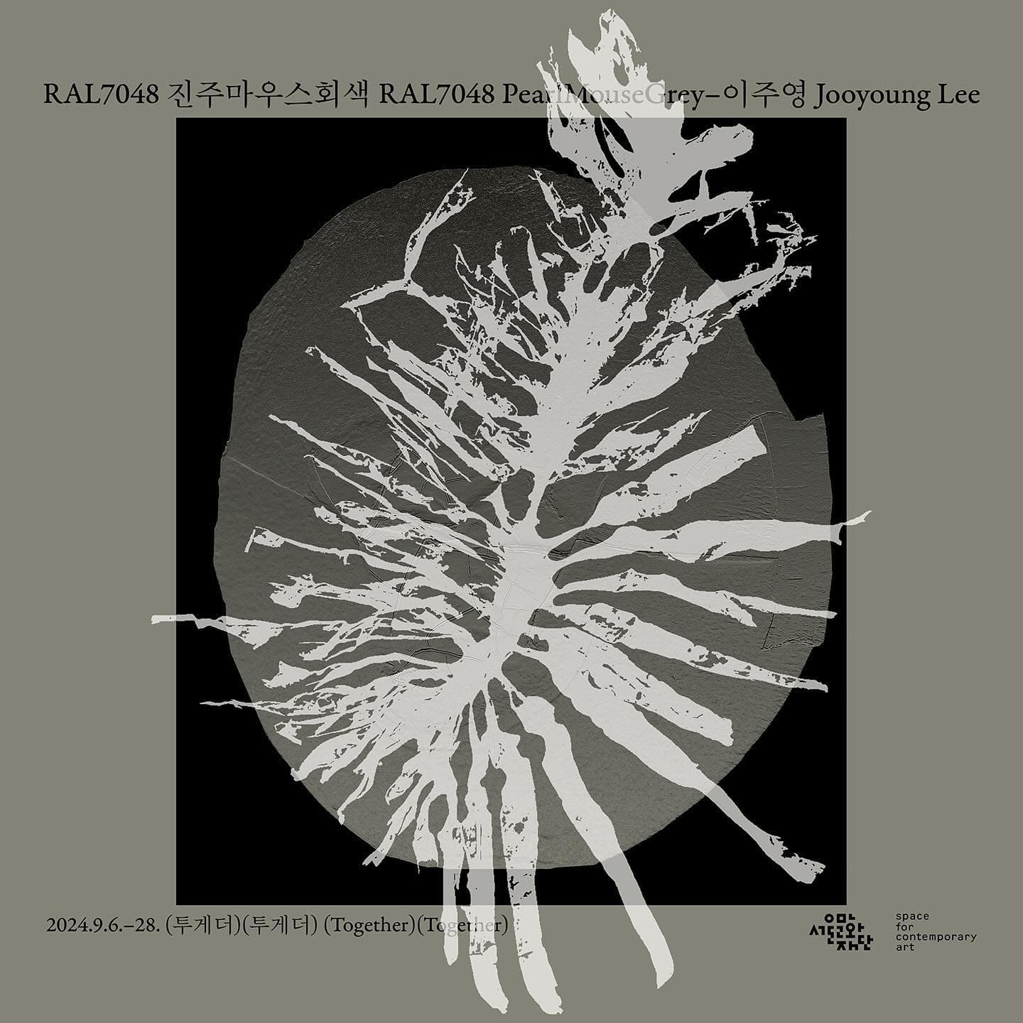 이주영: RAL7048 진주마우스회색 1