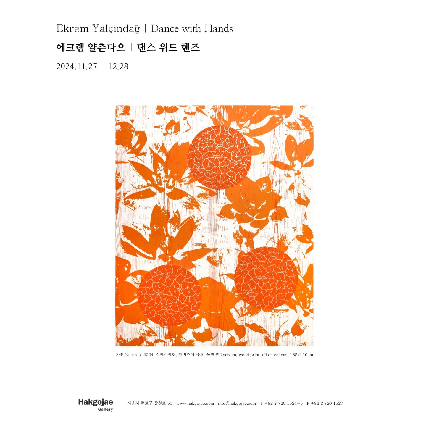 에크렘 얄츤다으: 댄스 위드 핸즈 Ekrem Yalçındağ: Dance with Hands 1