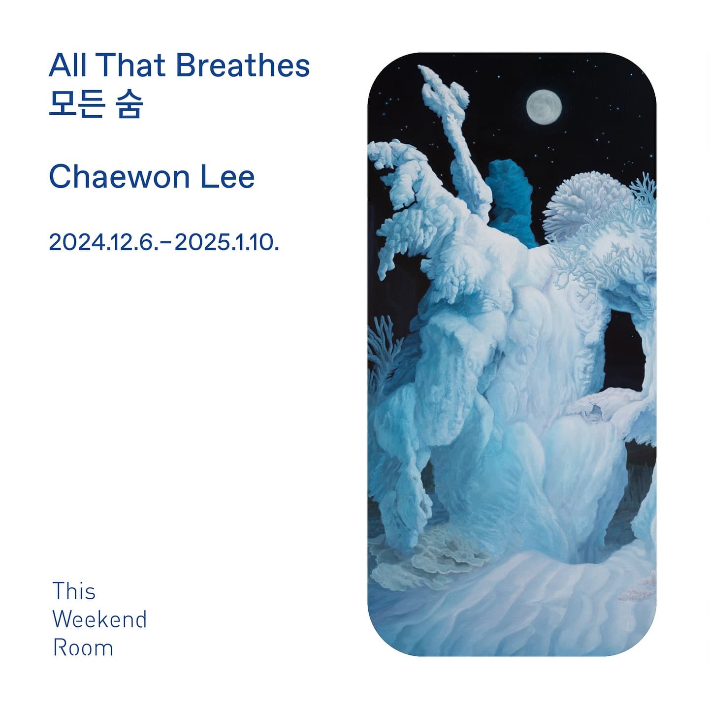 이채원 개인전: 모든 숨 All That Breathes 1