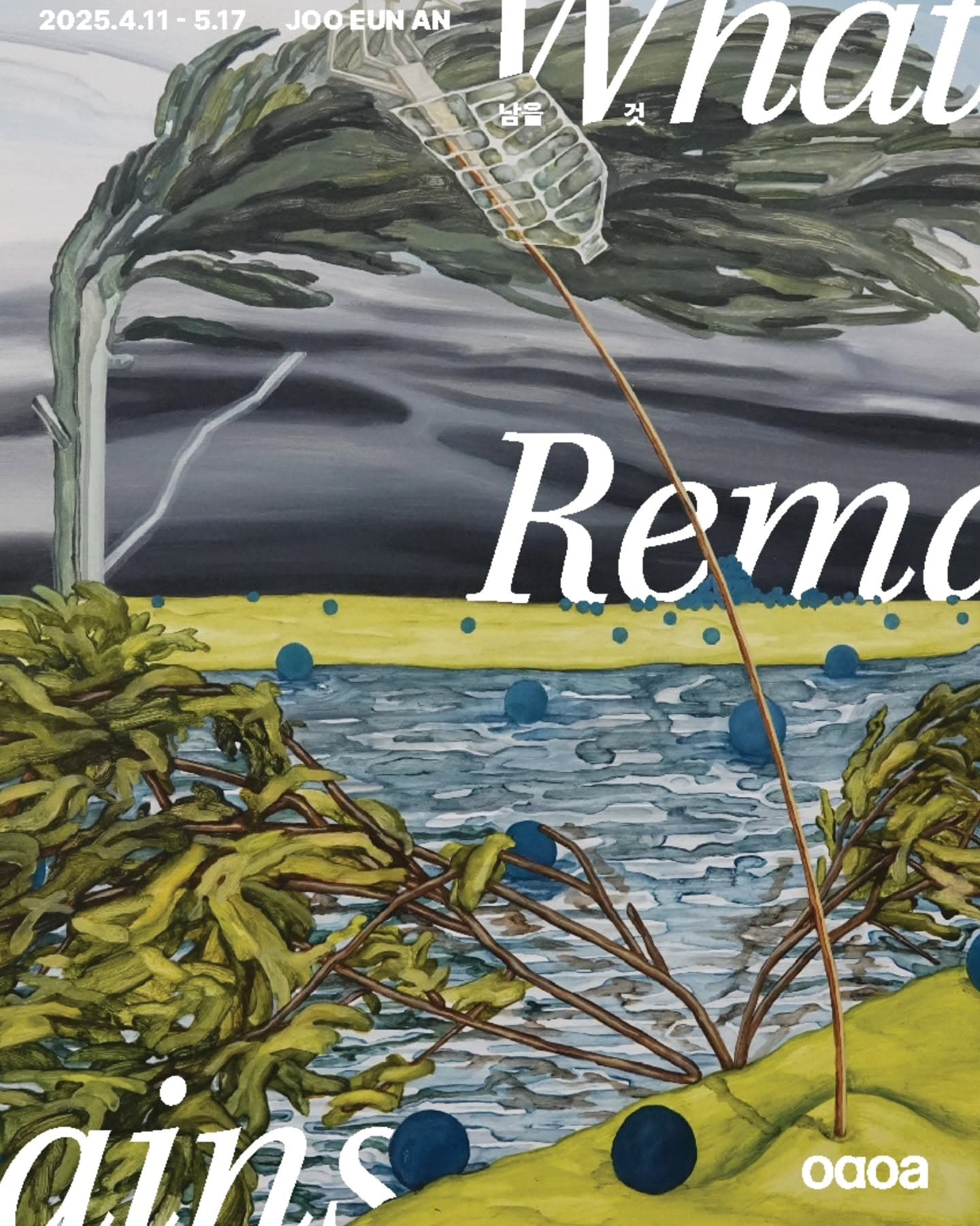 안주은 개인전: 남을 것 What Remains 1