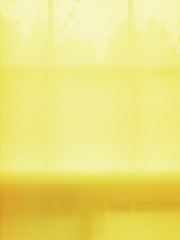 이주형, lf, Ia-49 20, Pigment print, 120x90cm