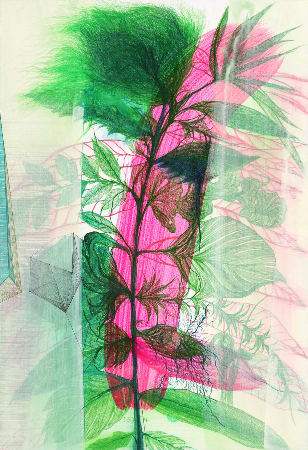 김하영, LEAF33, 2019, Colored pencil and acrylic on paper, 41.5x28.5cm