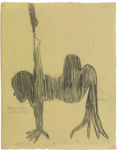 Sandra Vásquez de la Horra, EL ÁRBOL(THE TREE), 2009, Graphite on paper, wax, 20x15.5cm