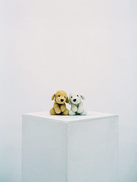조영주 개인전 : 서신교환 Jo Youngju : To My Dearest