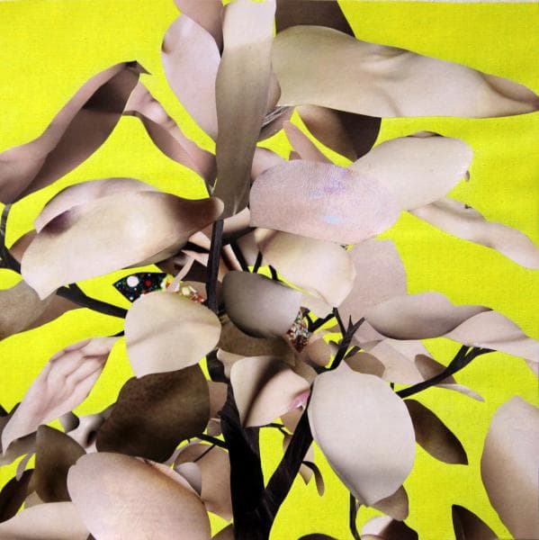 이들닙, 섬세한 편린(14), 32 × 32 cm, 캔버스에 아크릴, 콜라주, 2016