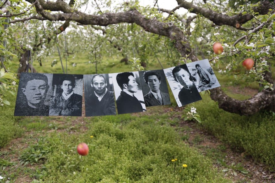 The moment apple flower comes to me -Apple‘s Travel#8 , yesan. Korea @ Shin HyunRim.Inkjet print. 2019