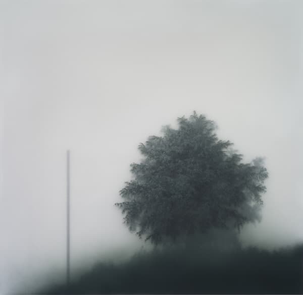 Neo-naturalism 4