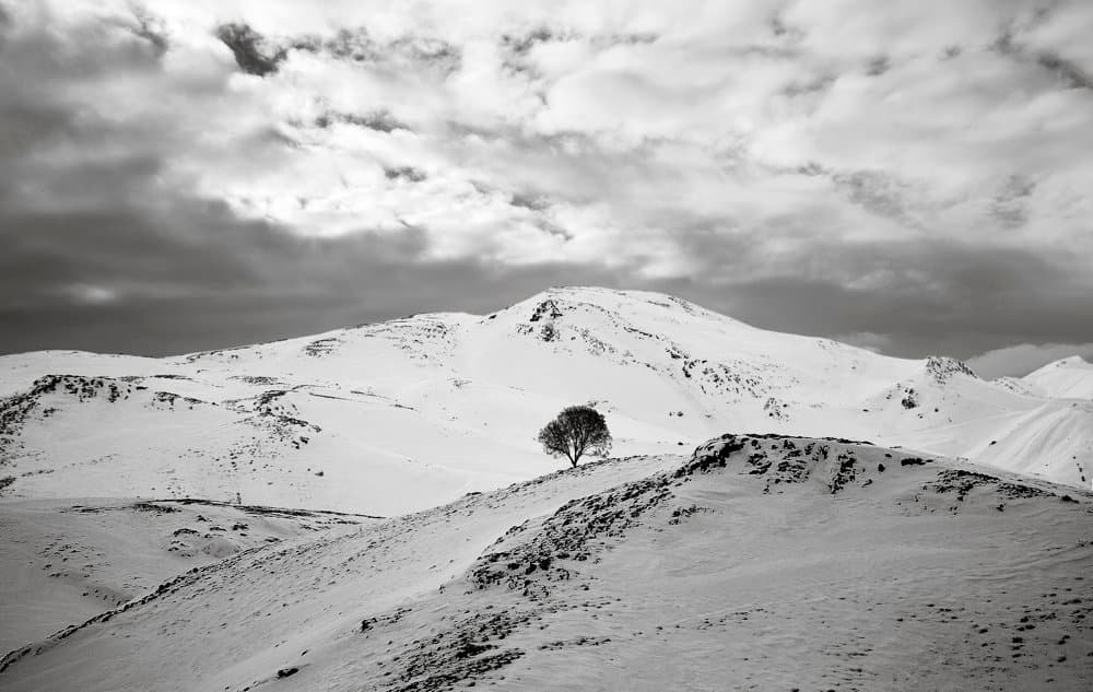 Snow No.14, 57 x 90 cm, Digital print on rag paper, 2002