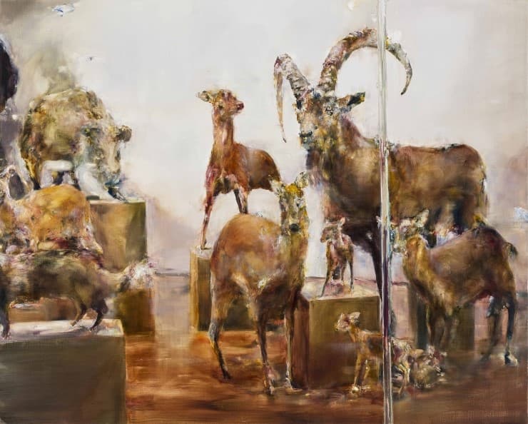 임희재_stuffed, 캔버스에 유화, 130.3x162.2cm, 2017