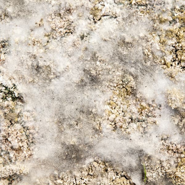 문선희. 11800-03. 50*50cm. c-print. 2015