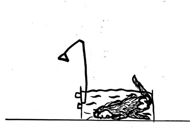 심래정, 침팬치, single channel video, 2015