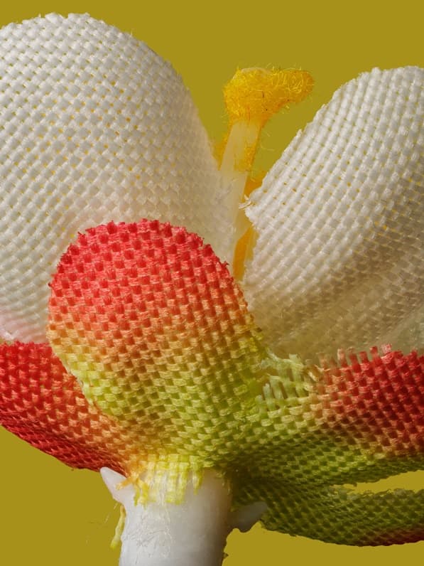 김경태, Bumping Surfaces - Cherry B, 2021, 아카이벌 피그먼트 프린트, 200 x 150 cm