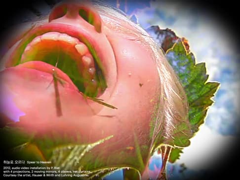 ⓒ 피필로티 리스트 Pipilotti Rist