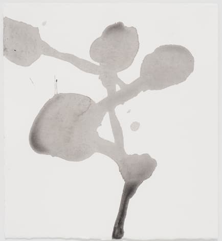 Untitled, 2015, Ink on paper, 17.5x16cm