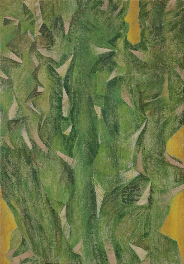 이동훈, 선인장 1 캔버스에 아크릴, 45.5x65cm, 2019
