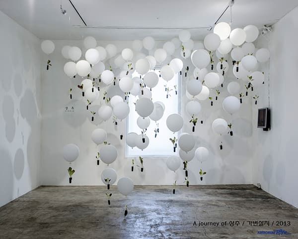 김원정_A journey of 상추, 가변설치, 2013