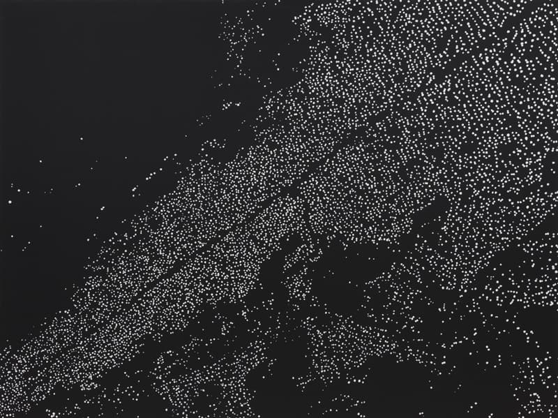 윤동천, 위대한 퍼포먼스 9-촛불시위, 2017