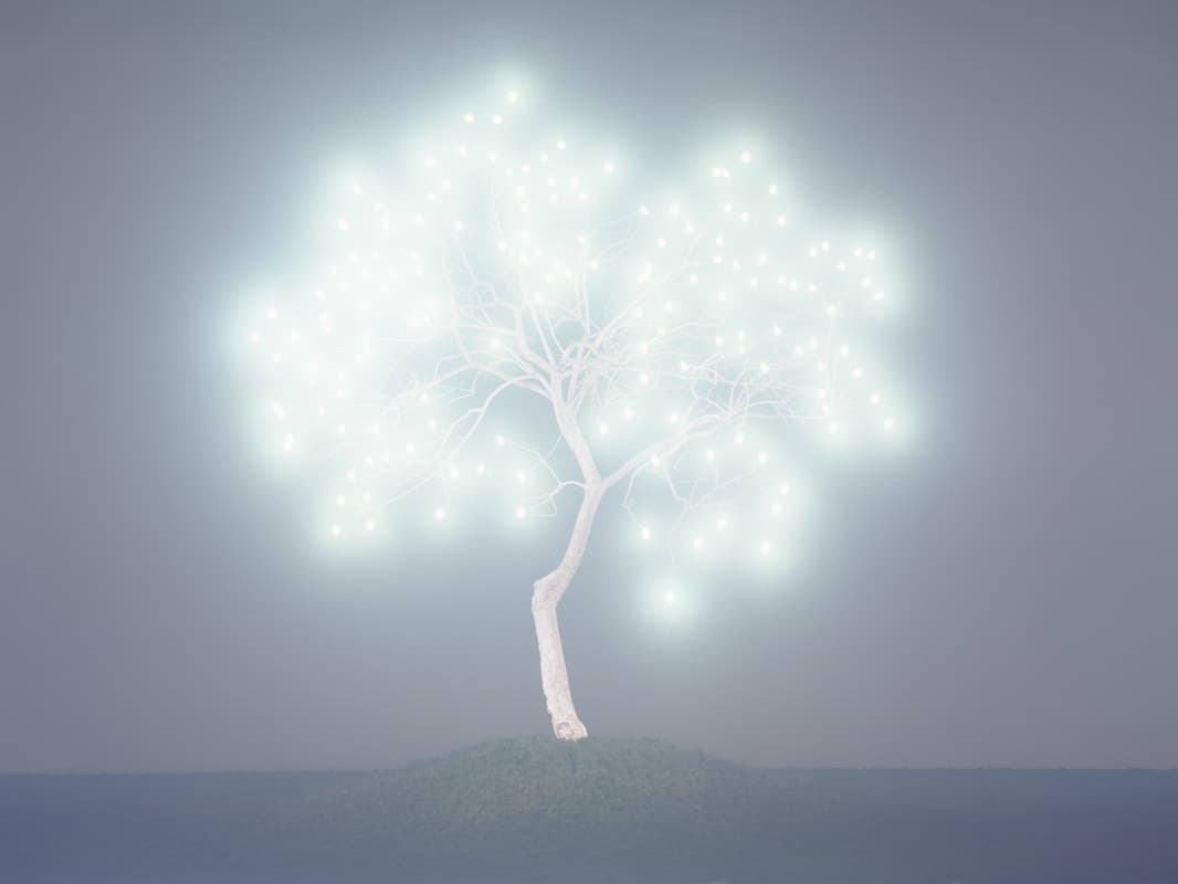 이정록(Jeong Lok Lee)_Tree of life #2-5_pigment print_90x120cm_2009