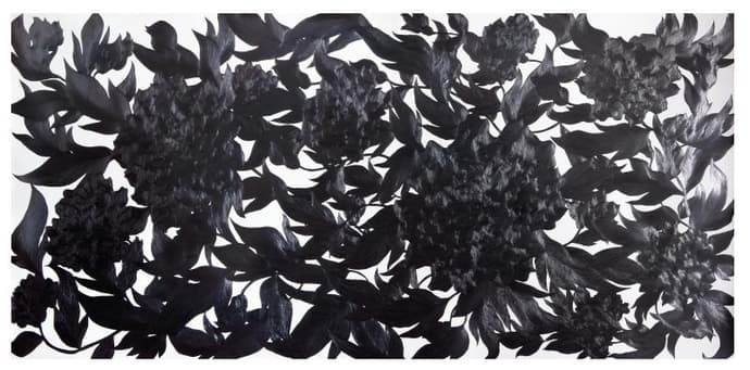 김은주, 가만히 꽃을 그려보다, 종이 위에 연필, 140X300cm, 2011