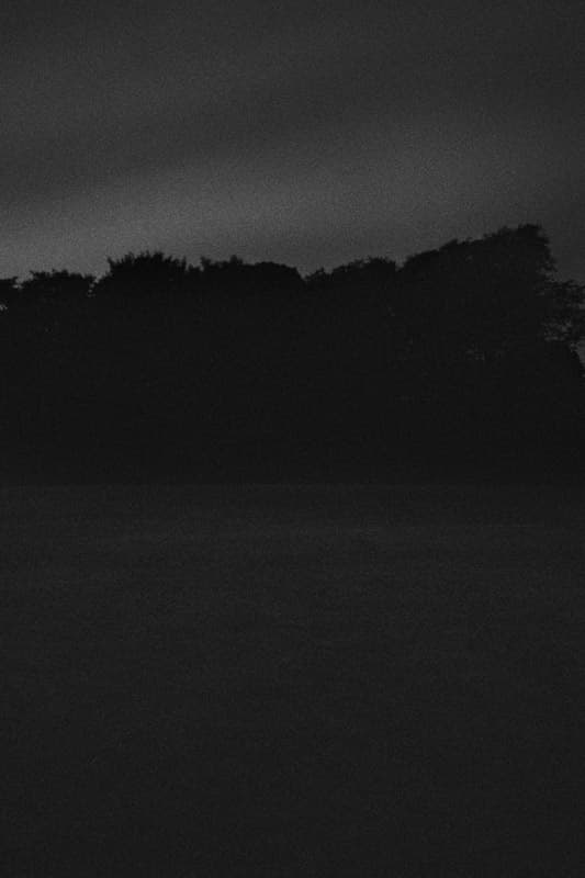 정철호,The Nights