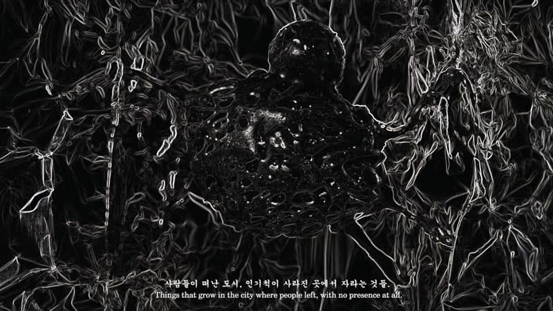 무진형제, 풍경(바람의 경전), 단채널 영상, 스틸컷