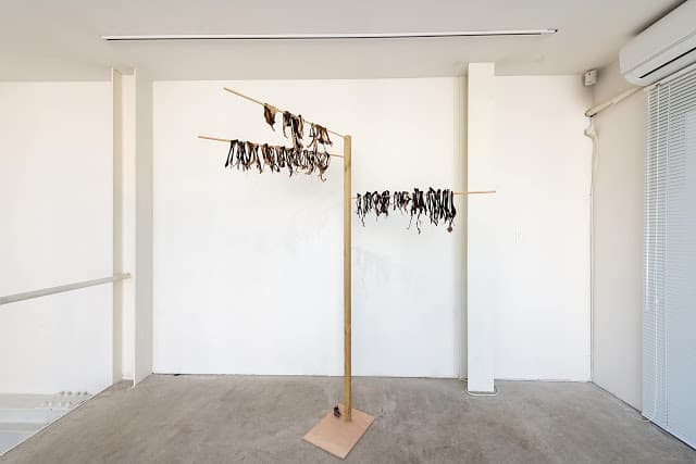 구민자_전시전경_어떤 나무 (2018 – 2020) 촬영, 사진 김재범