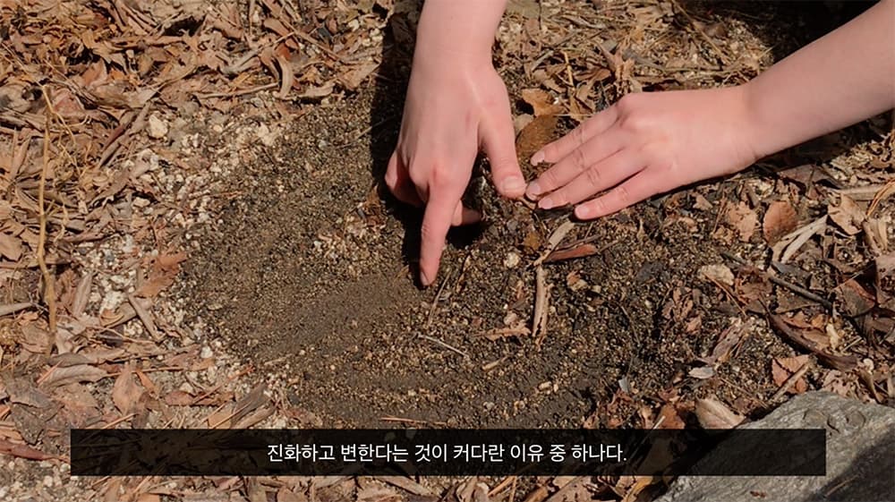 <아담의 음경뼈, 이브의 손가락 Adam’s Baculum, Eve’s Finger bones> (2022)