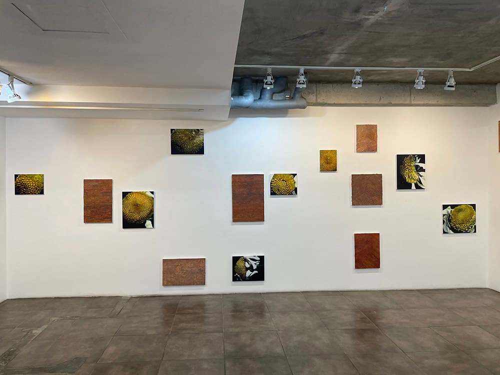 황보현 개인전: 캔버스에 유화 Oil on Canvas 5