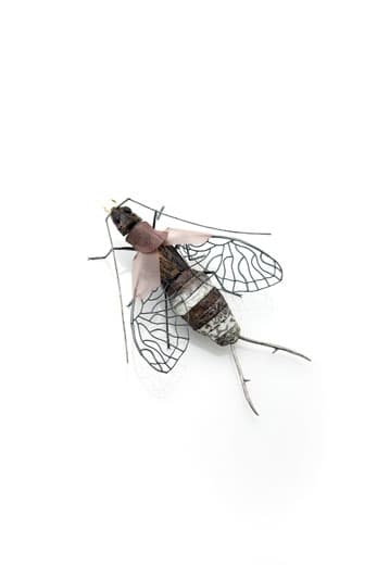 집게벌레 Earwig , frog’s skin sterling silver pvc polymer clay oxidized gold plated, 15 x 21 x 7 cm, 2017
