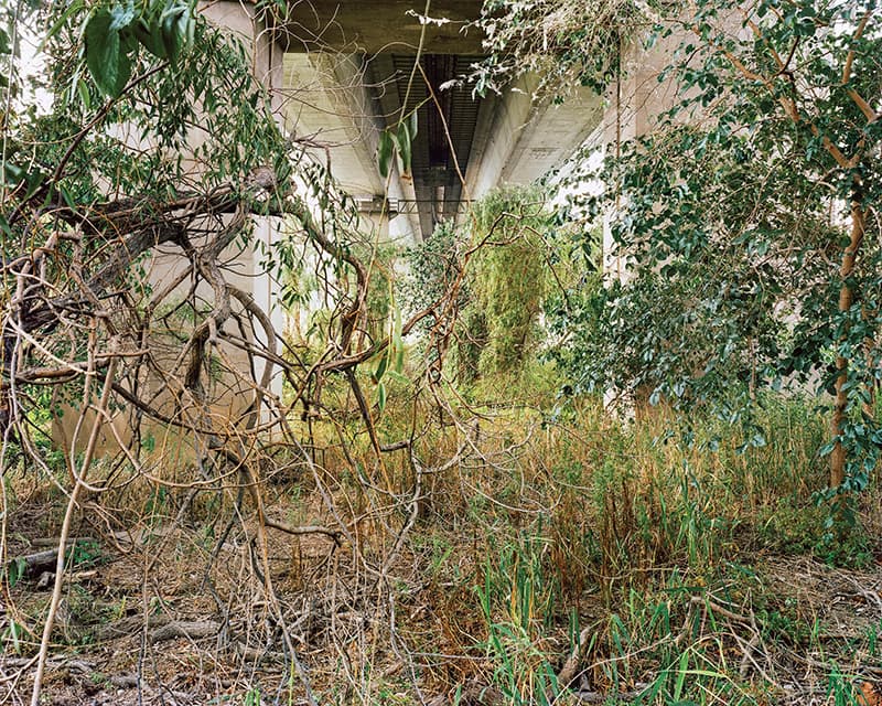 ⓒ 김승구, 밤섬 090, 2018, Pigment Print, 80cm x 100cm