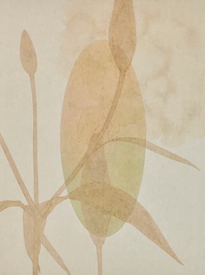 윤지현, form 장지에 채색 60.6x50cm 2018 [출처] ‘시선의 자취’ 2019년 상반기 갤러리 도스 본관 기획공모_윤지현 ‘Things always been there’ 展|작성자 갤러리 도스