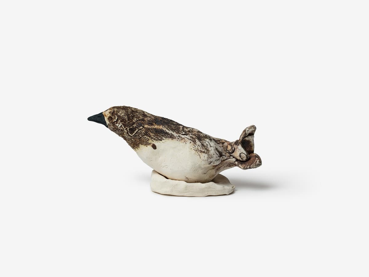Sodam Lim, Black bird, 2017, ceramic, 25✕13✕10cm