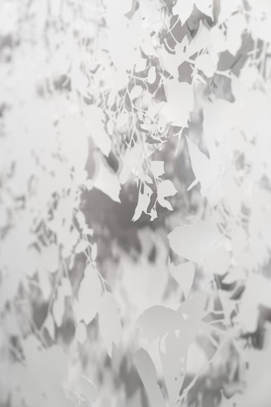 이주희, PAPER CUTTING SERIES, 2018