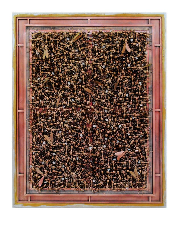 김홍진_봉인된 패러다임09-옥수수, 혼합재료 사출, 3D 프린터 제작, 147x187x12cm
