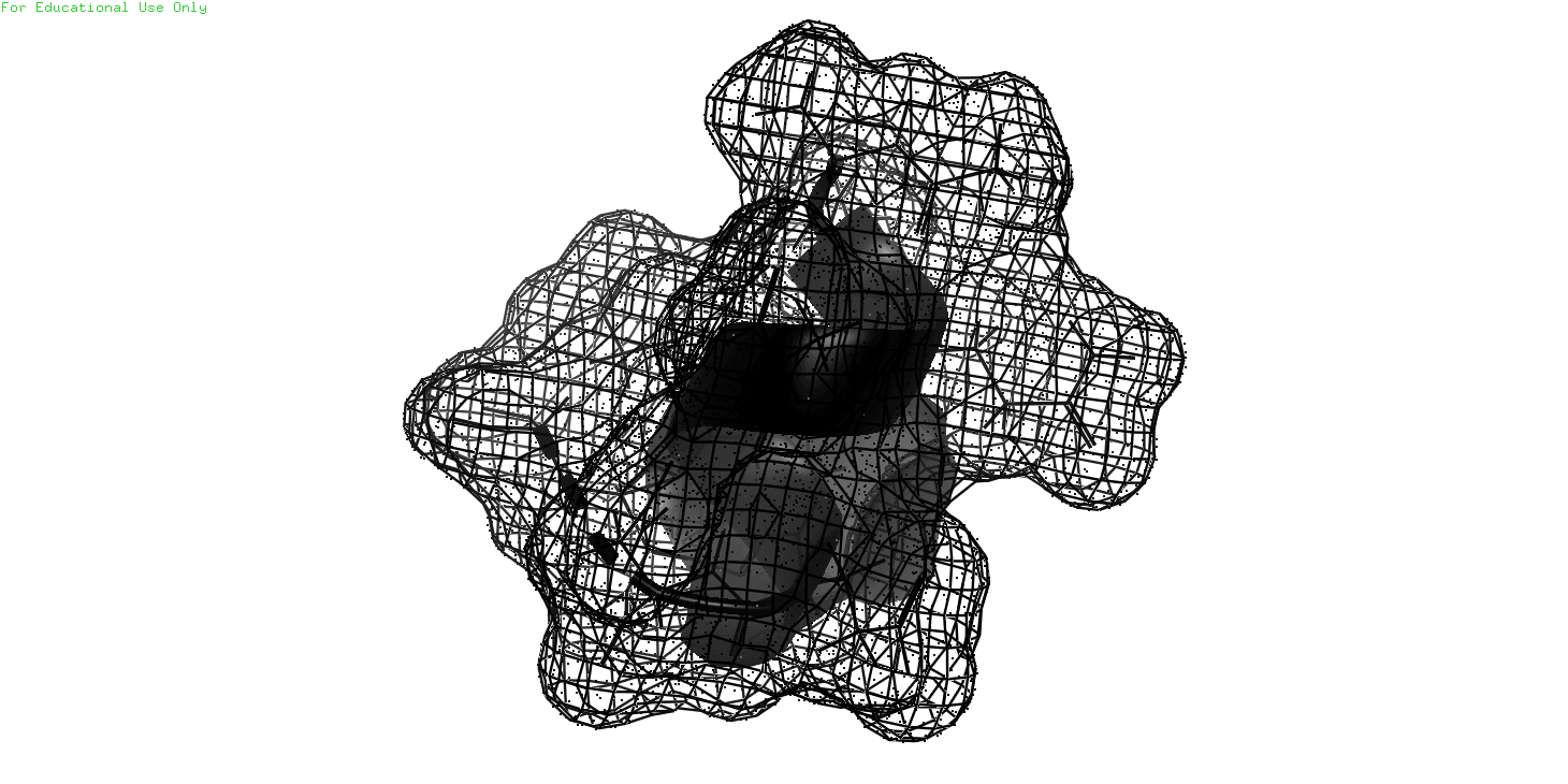 W&D space-filling(mesh) molecular model