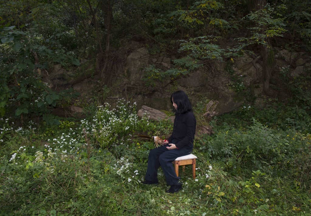 예기, HS34의 위장술. 성게와 성좌.(HS34 and camouflage, sea urchin and constellation)  동영상, 사운드, 컬러, 3분36초, 2017