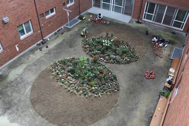 허태원 : 여기에 꽃을 심어도 될까요? TAEWON HEO : MAY I PLANT FLOWERS HERE? 4