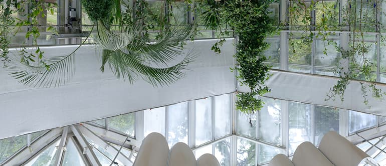 최승훈, Endangered Weeds{in), Mixed media, 700x265cm, 2017