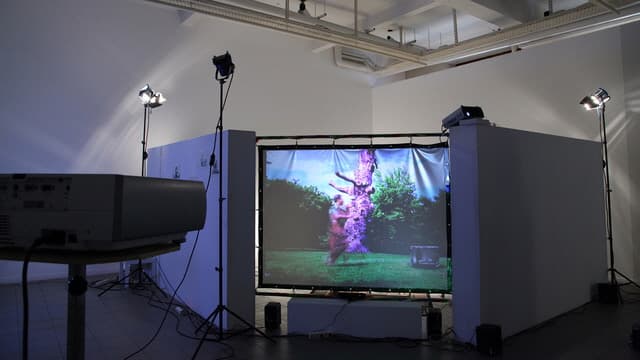 박성준, perception VI, interactive installation, 1 kinect sensor, 1 camera, 1 monitor, 2 speakers, 1 screen, 3 illuminators, various dimension, 2012
