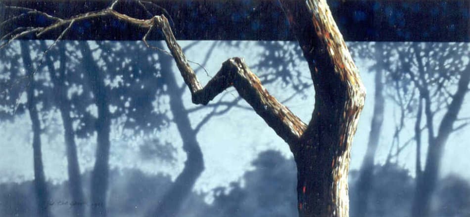 주태석, 나무, 캔버스에 유채, 49x98cm,, 1992