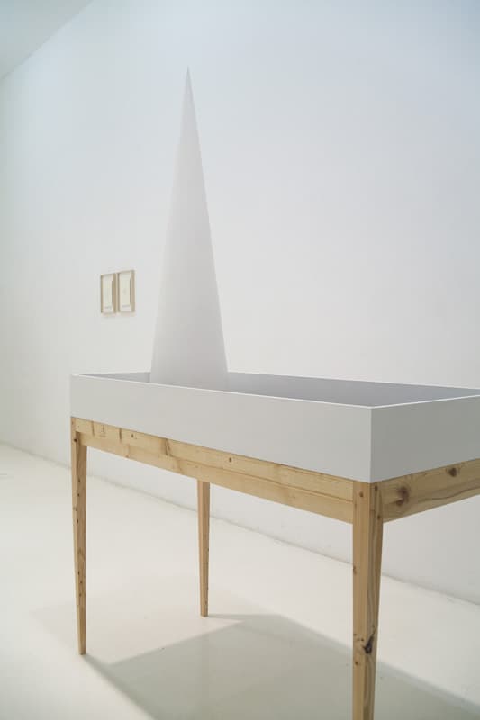 백승현_무제_혼합재료_140x60x220cm_2015
