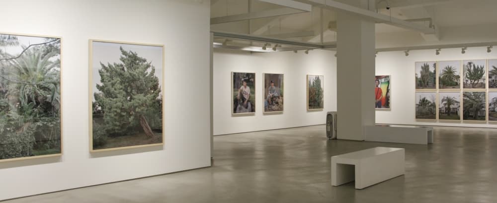 김옥선 : 중간보고서 2016 – 순수 박물관 Oksun Kim : Interim Report 2016 – Museum of Innocence 4