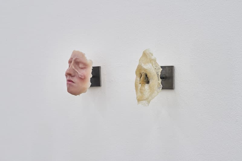 아니아라 오만, <천 년 전의 나, 지금으로부터 천 년 후의 너>, 친환경 레진, 철 마운트, 실리콘 캐스트, 게딱지, 바이오플라스틱, 2019