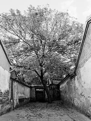 슈용_Hu Tong 9_1990_Cprint_105 x 145 cm (Ed. 6)