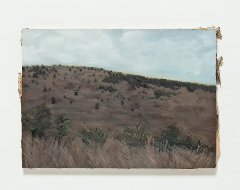 박명미, 다랑쉬 오름2_죽은 화가의 (버려진)종이판넬에 유채_38×52cm_2014