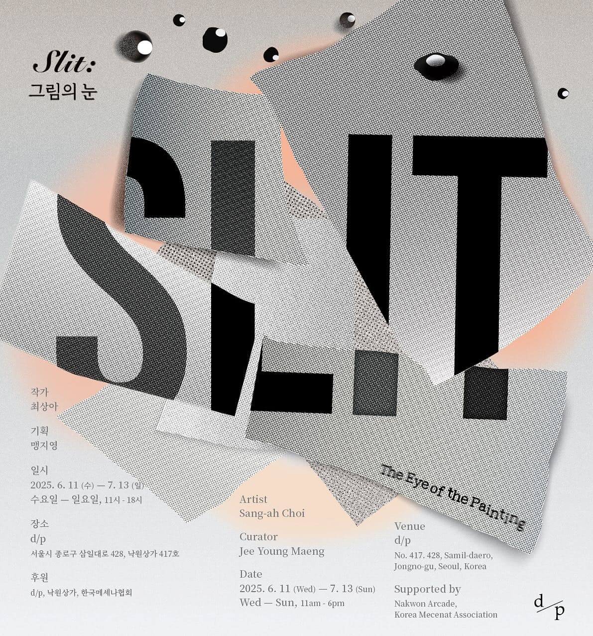 최상아 개인전 - Slit: 그림의 눈 1