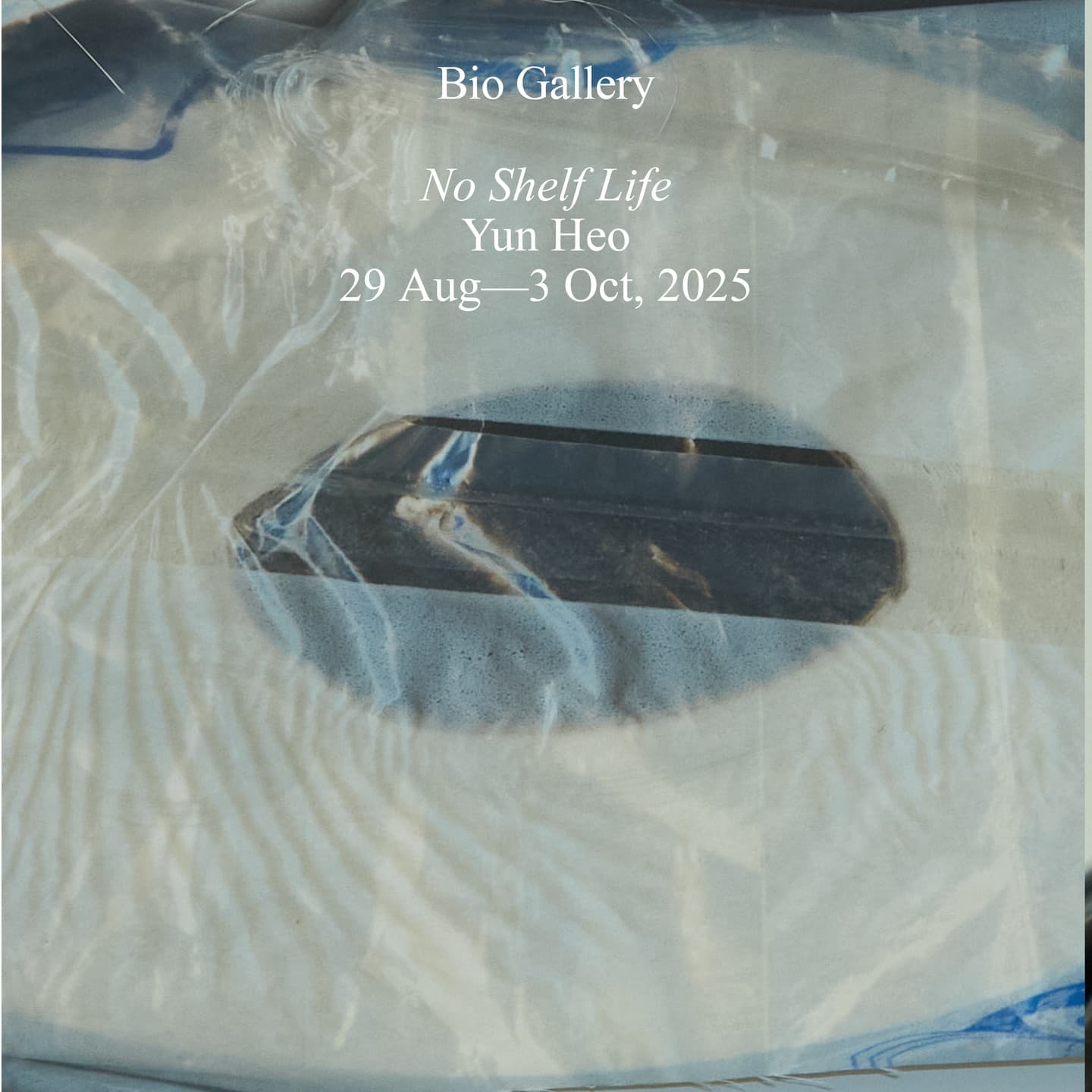 허윤정 개인전: No Shelf Life 1