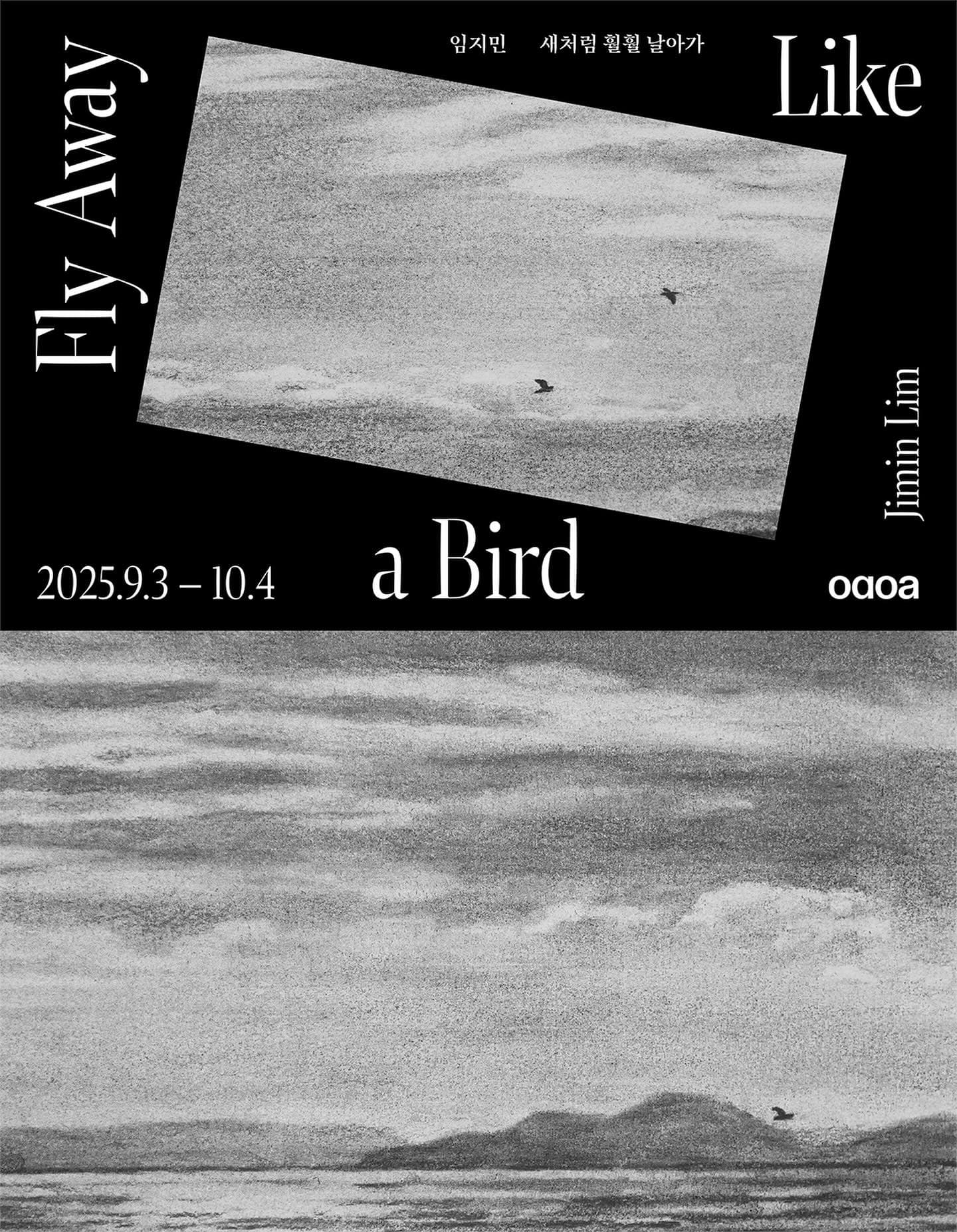 임지민 개인전: 새처럼 훨훨 날아가 Jimin Lim: Fly Away Like a Bird 1