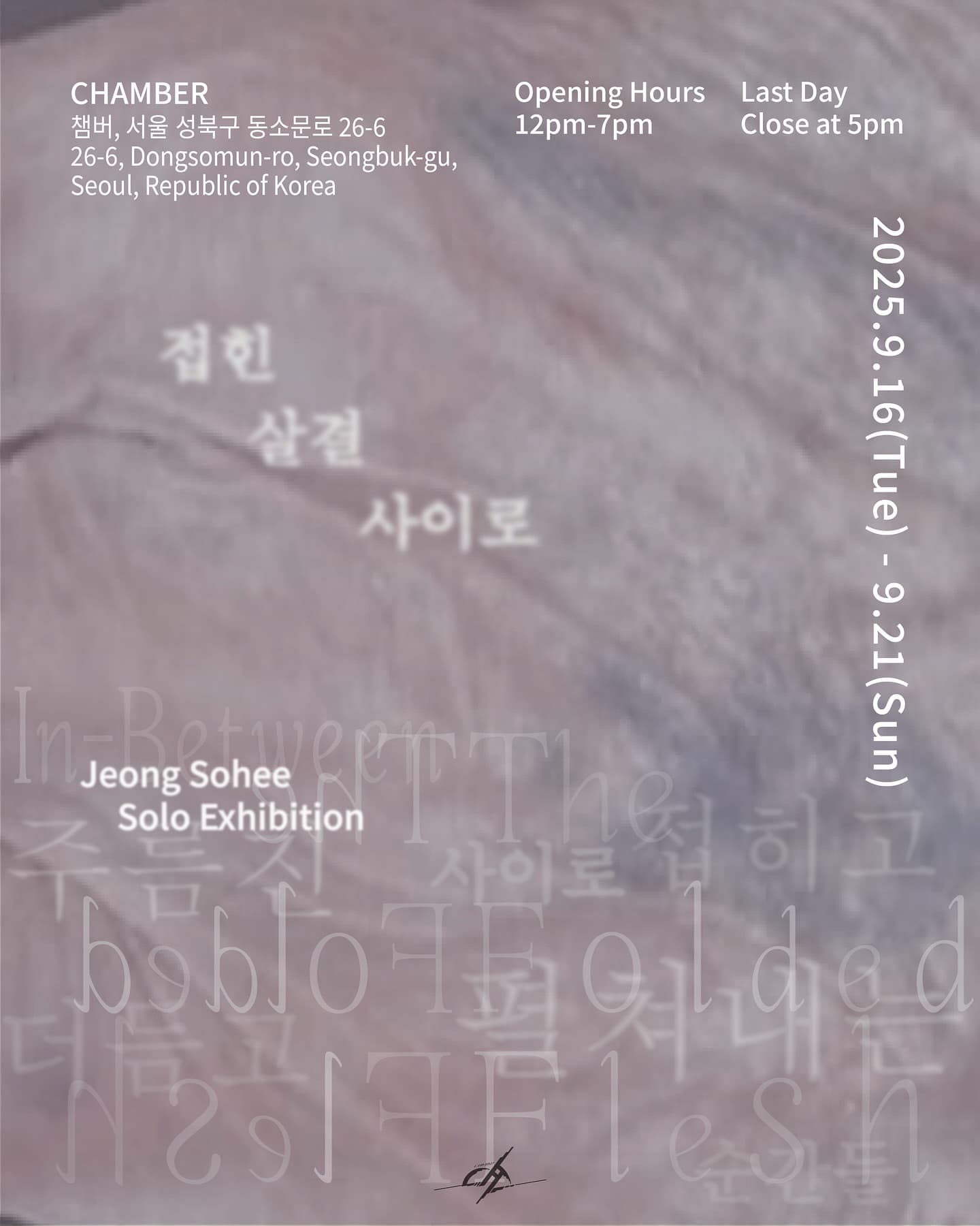 정소희 개인전: 접힌 살결 사이로 1
