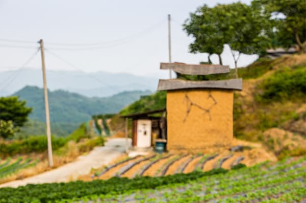 이인학 개인전 : 건조장이 보이는 풍경 2
